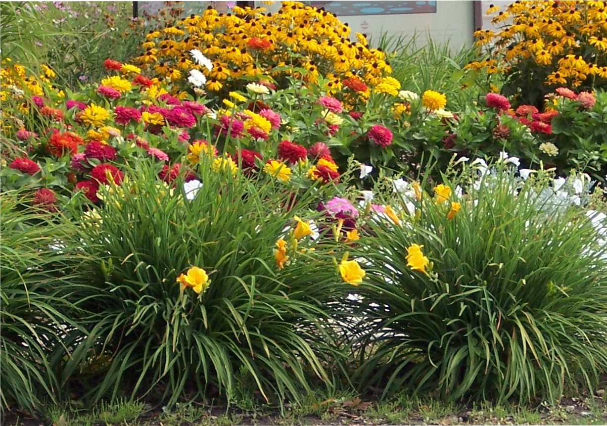 Water Wisely for a Beautiful Garden and Landscape | The Quad-Cities Daily