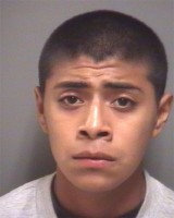 Elias Nava