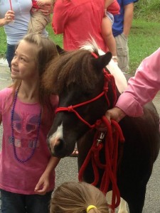 miniature horse