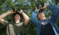bird watching