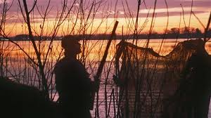 hunting ducks