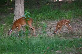 mother and baby