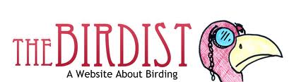 rare birds
