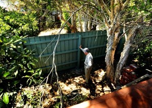 st_fence-420x0