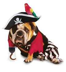 Bulldog