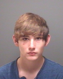austin hamm