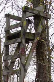 ladder tree stand