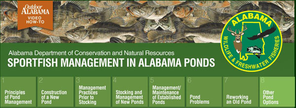 SPORTFISH MANAGEMENT IN ALABAMA PONDS