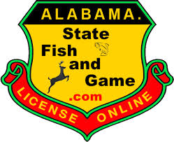state license