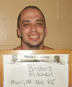 Brisbois, Mitchell