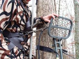 body harness
