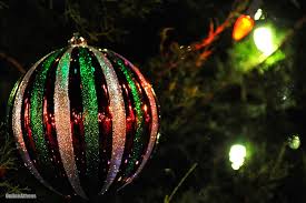 christmas tree lighting