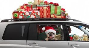 dog in santa hat