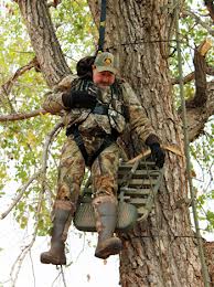 fall from tree