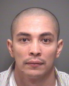jose tavera