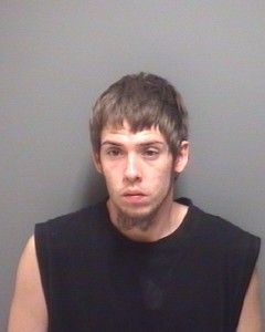 mitchel walkley