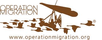 operation migration