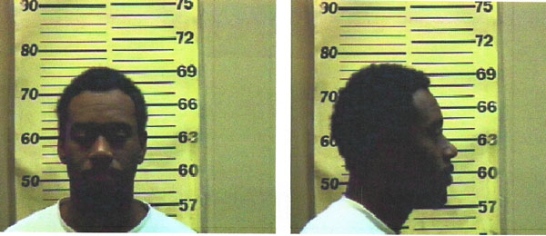stefano williams