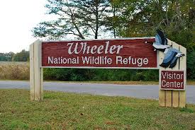 wheeler wildlife