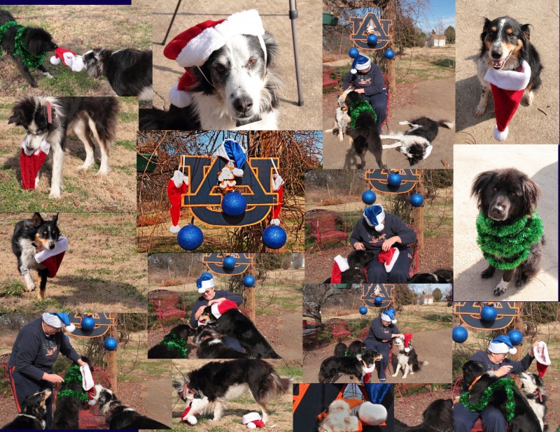 2013 Xmas