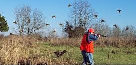 hunting