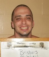 mitchell brisbois