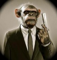 monkey