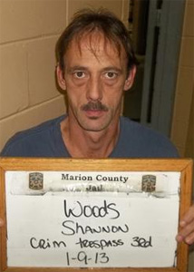 shannon woods