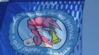 shrimp festival