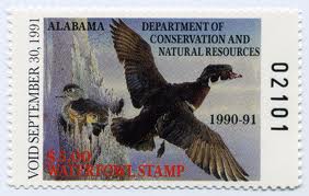 waterfowl 1