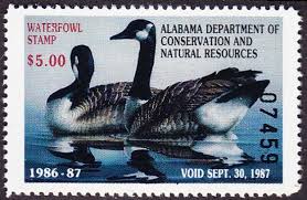 waterfowl 2