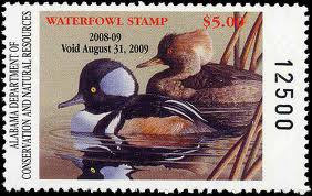waterfowl 4