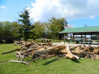 wood and culverts
