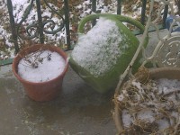 snow-on-flower-pots