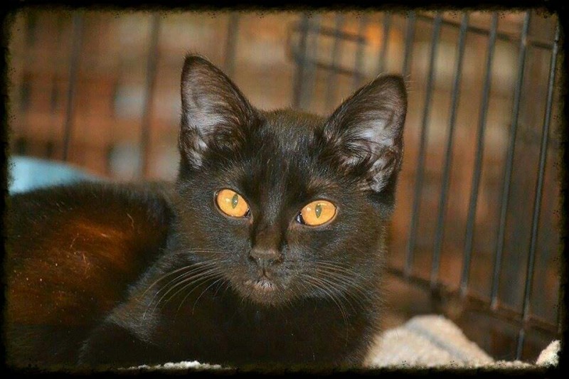 no name
