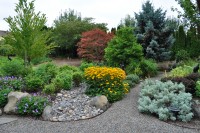 Rain-Garden-Design