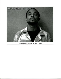 damon andrews