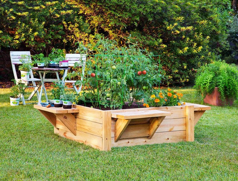  Raised bed gardens with benches make it easier to plant, maintain and harvest. Photo credit: Bonnie Plants 