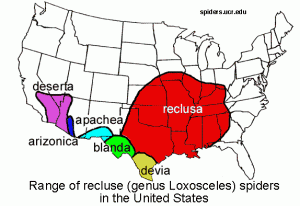 pcreclusespiders_clip_image010