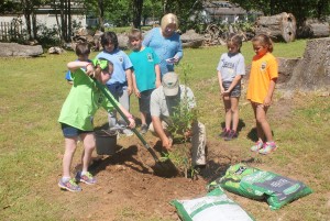 Addisyn Hatton shovels soil around the new Anne Sullivan Tree