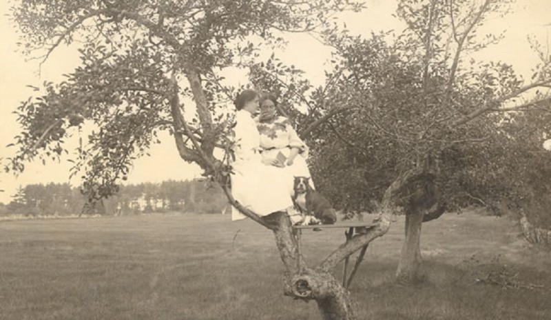 Helen-Keller