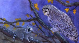 owl