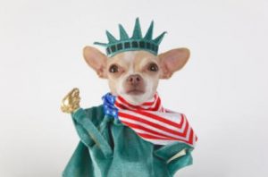 139661-425x281-statuedog