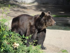 201605574d9167bbb68