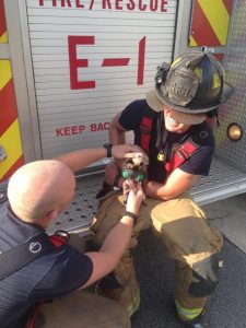 Firefighters Colton Hill and Chad Green resuscitate family cat