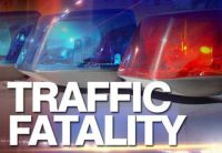 traffic_fatality2