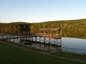 IMG_1537