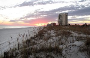 beach-restoration-01-edit_custom-481c2f59fc61a9b809f462d883953d1b7f8a684e-s900-c85