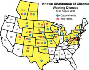 cwdmap