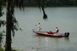 miller's ferry